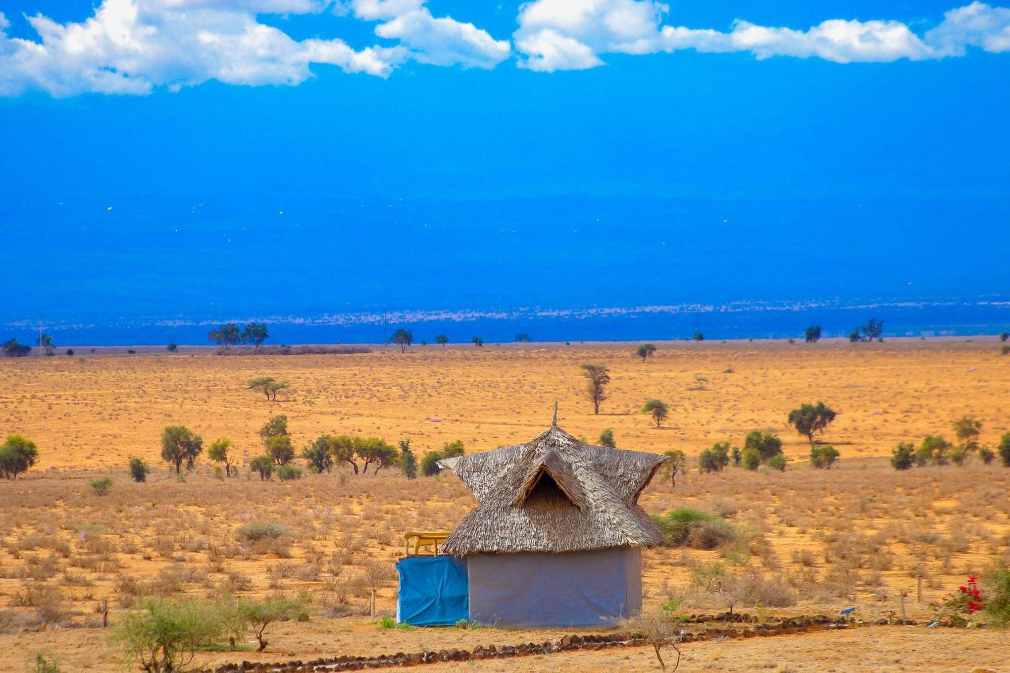 Little Amanya Camp Hotel Công viên quốc gia Công viên quốc gia Amboseli Ngoại thất bức ảnh