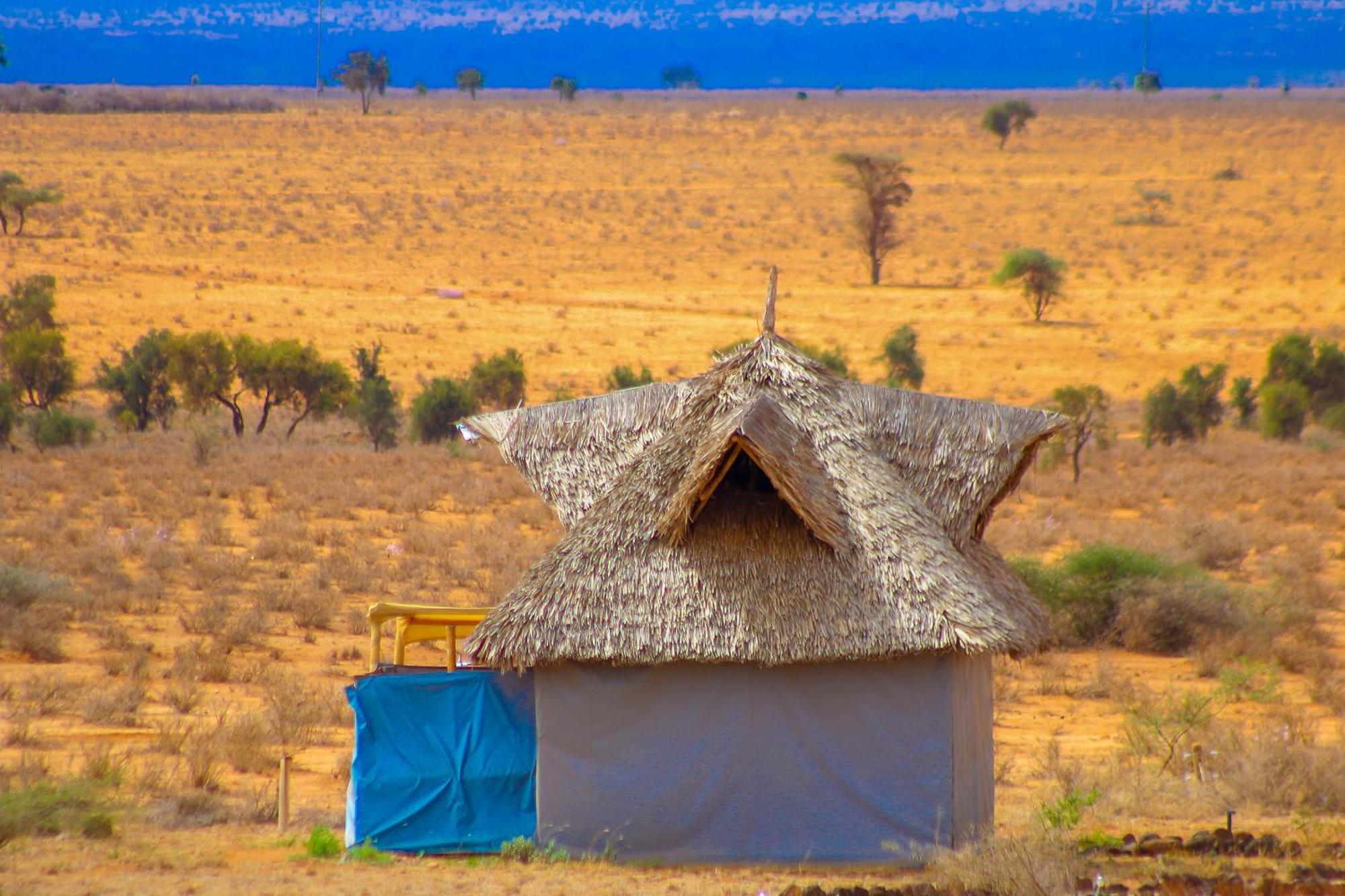 Little Amanya Camp Hotel Công viên quốc gia Công viên quốc gia Amboseli Ngoại thất bức ảnh