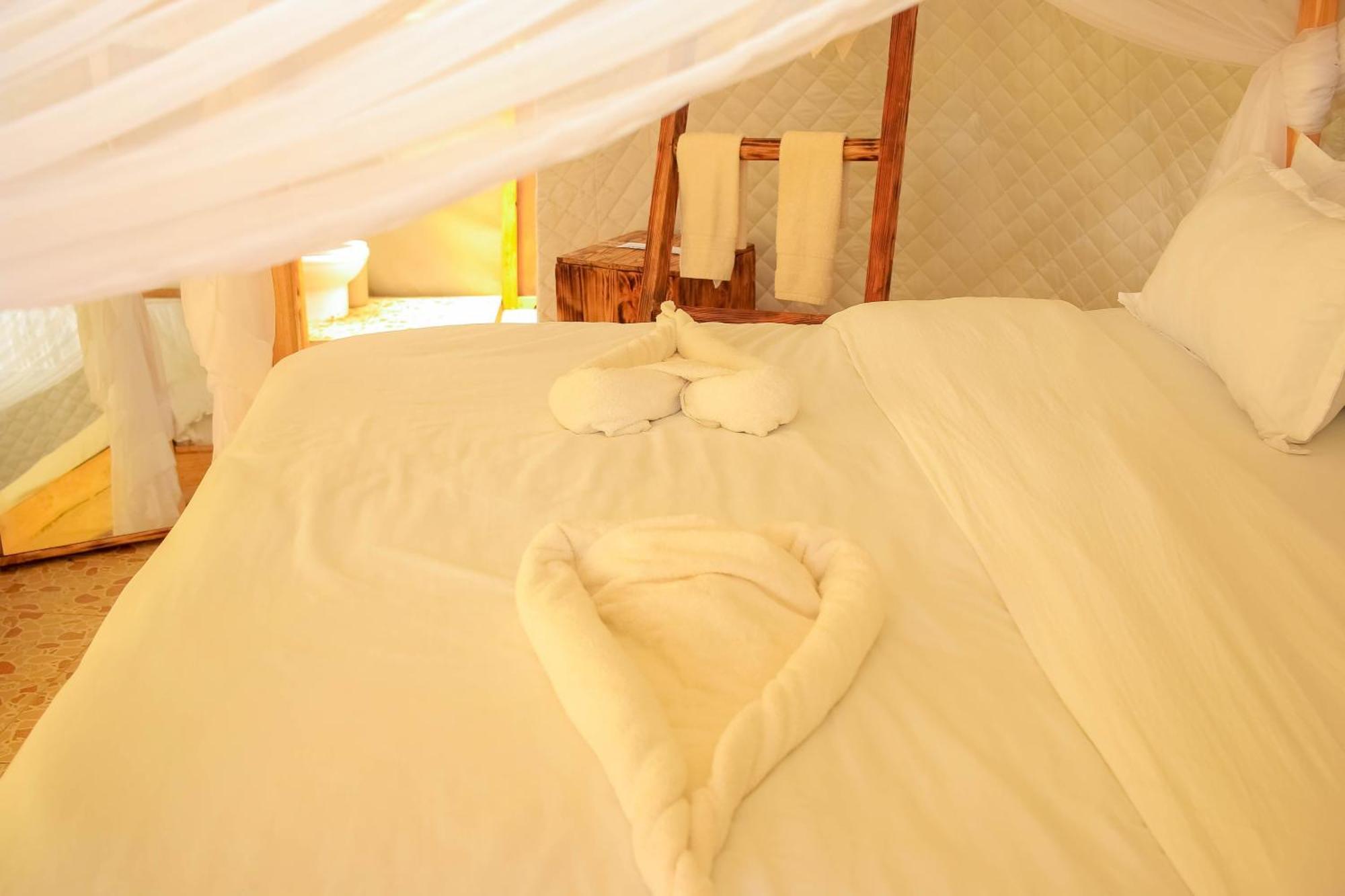 Little Amanya Camp Hotel Công viên quốc gia Công viên quốc gia Amboseli Ngoại thất bức ảnh