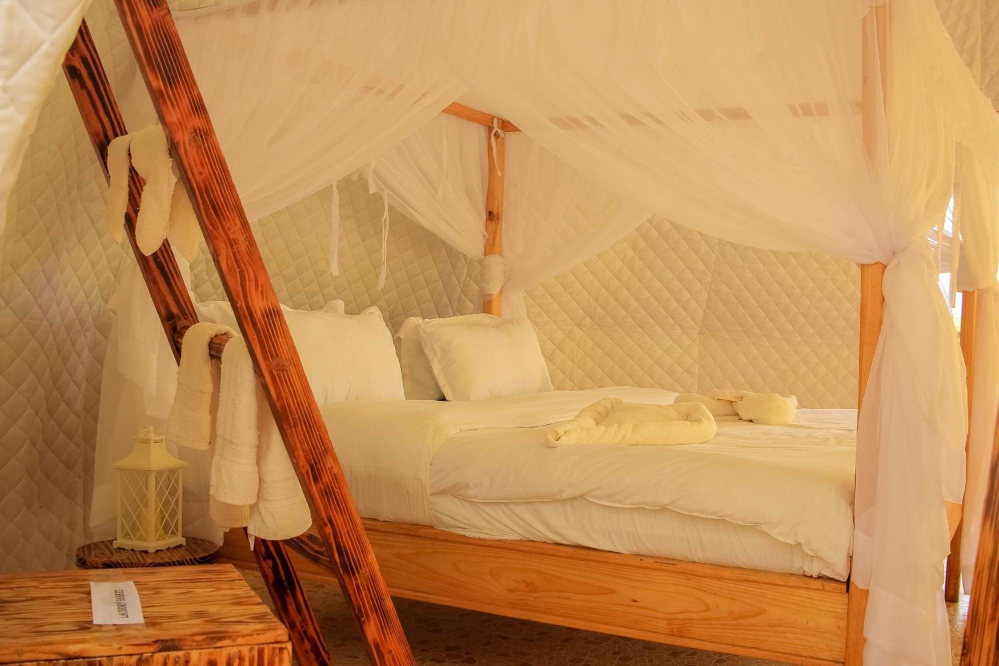 Little Amanya Camp Hotel Công viên quốc gia Công viên quốc gia Amboseli Ngoại thất bức ảnh